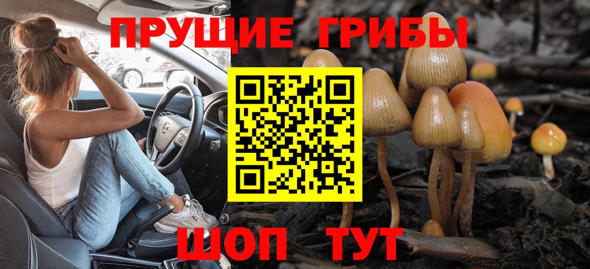 Тамбов  Псилоцибиновые грибы мицелий  Вход с VPN 