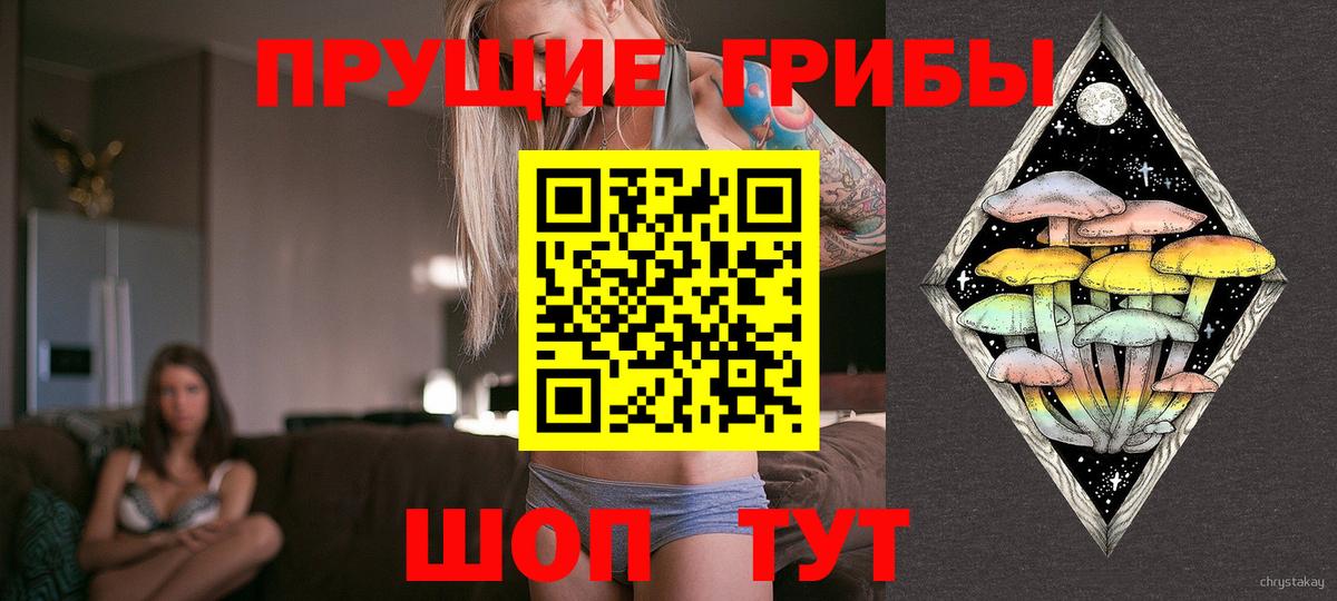 Галлюциногенные грибы мухоморы Тамбов
